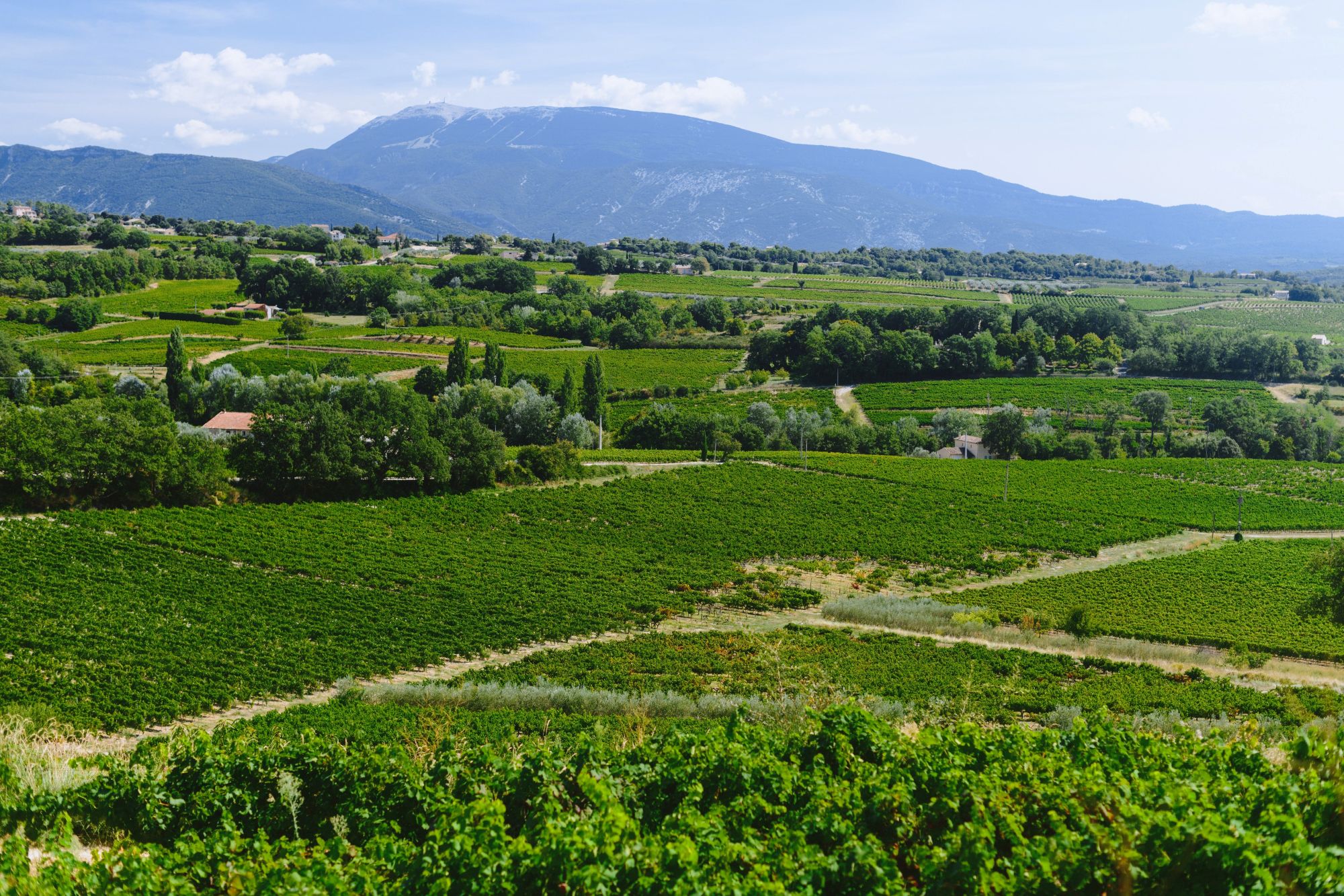 photo la comtadine 3